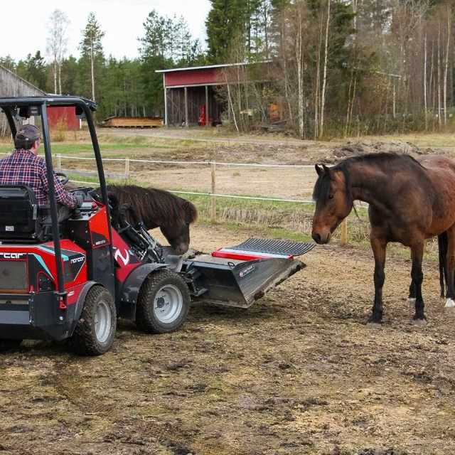 Hester undersøker minilaster på jorde