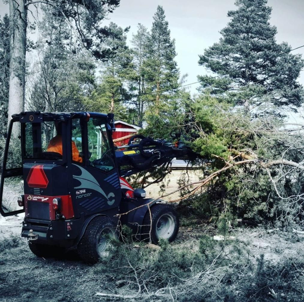 Norcar minilaster i arbeid med trær